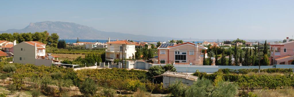 Kostas Family House Apartment Kato Assos Ngoại thất bức ảnh