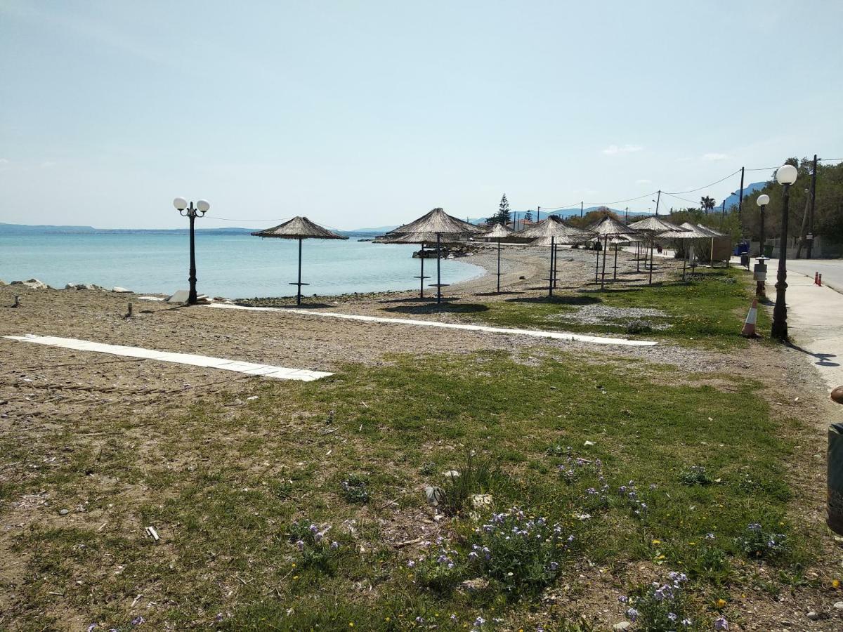 Kostas Family House Apartment Kato Assos Ngoại thất bức ảnh