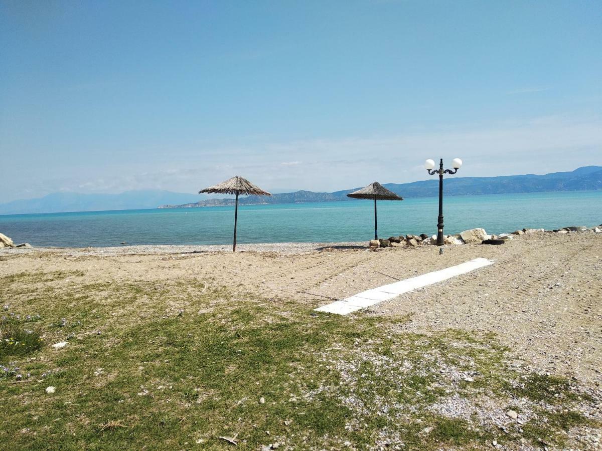 Kostas Family House Apartment Kato Assos Ngoại thất bức ảnh